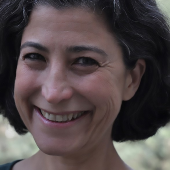 Read more about the article Dr. Ayelet Langer